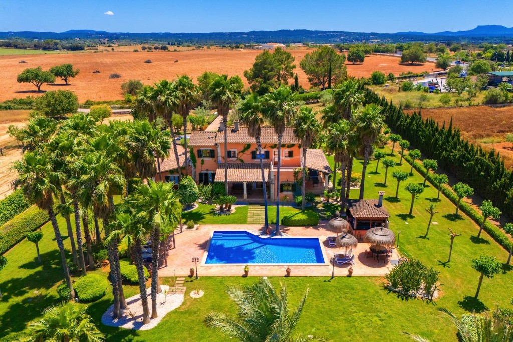 Luftaufnahme von Haus, Pool und Palmengarten